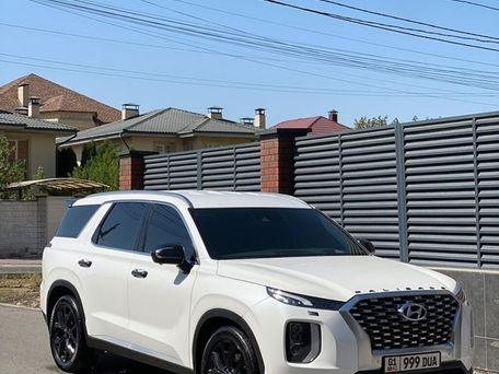 Hyundai Palisade, 2019 — фото 2