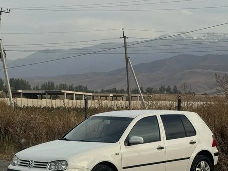 Volkswagen Golf, 2024