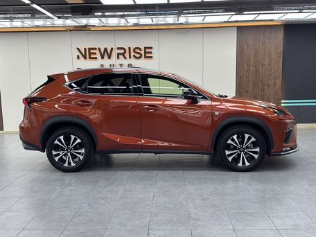 Lexus NX, 2021 — фото 7