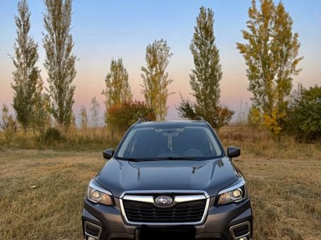 Subaru Forester, 2019 — photo 1