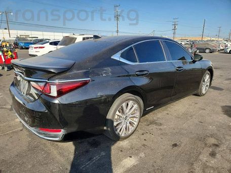 Lexus ES, 2020 — сүрөт 4