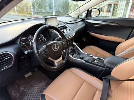 Lexus NX, 2017 — фото 10