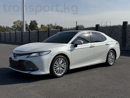 Toyota Camry, 2019 — фото 1