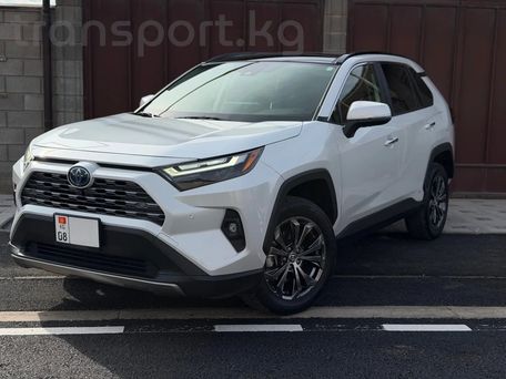 Toyota RAV4, 2023