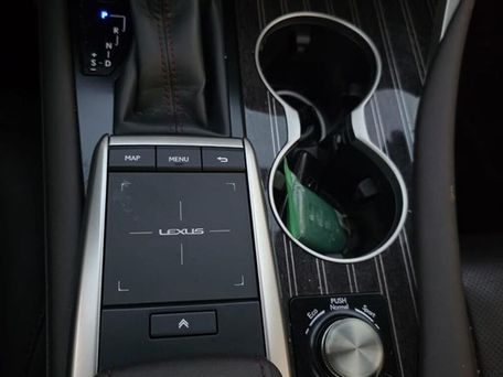 Lexus RX, 2021 — сүрөт 20