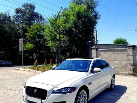Jaguar XF, 2020 — фото 2