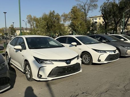 Toyota Corolla, 2020 — photo 7