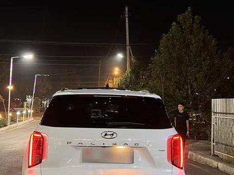 Hyundai Palisade, 2021 — сүрөт 8