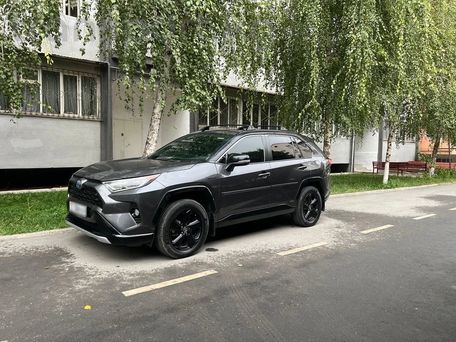 Toyota RAV4, 2019 — фото 3
