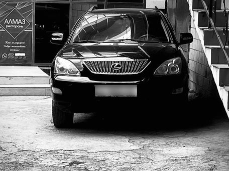 Lexus RX, 2004 — фото 1