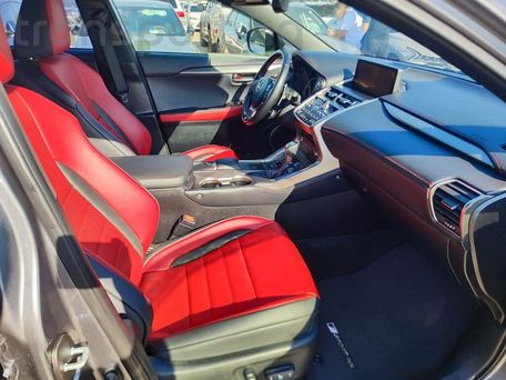 Lexus NX, 2020 — photo 7