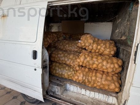 Ford Transit, 1995 — сүрөт 6