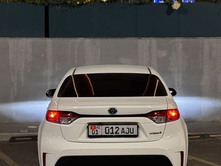 Toyota Levin, 2023 — 照片 6