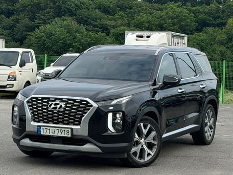 Hyundai Palisade, 2020 — фото 2