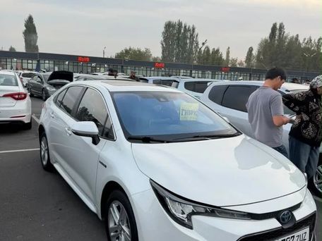 Toyota Levin, 2020 — сүрөт 2