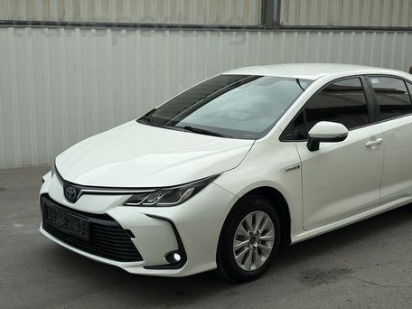 Toyota Corolla, 2019 — фото 2