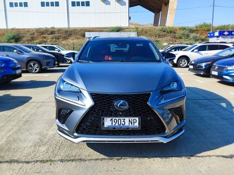Lexus NX, 2020 — photo 2