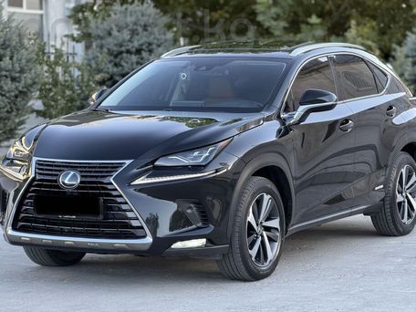 Lexus NX, 2019 — photo 3