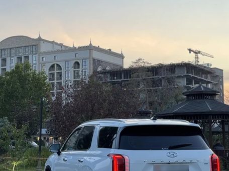 Hyundai Palisade, 2020 — photo 7