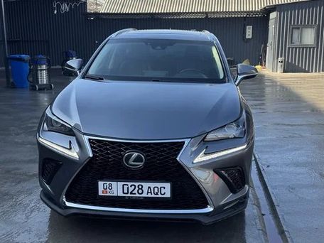 Lexus NX, 2018 — 照片 2