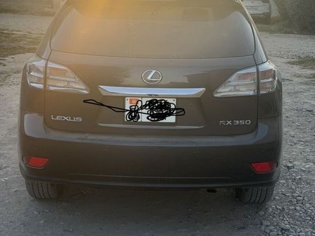 Lexus RX, 2010 — photo 2