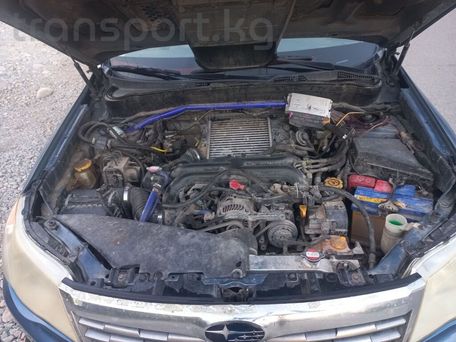 Subaru Forester, 2008 — photo 12