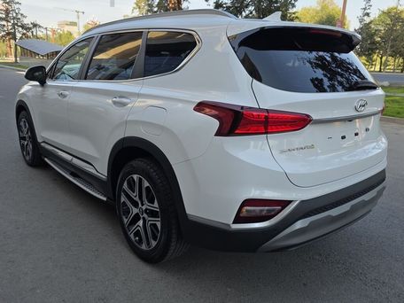 Hyundai Santa Fe, 2020 — фото 17