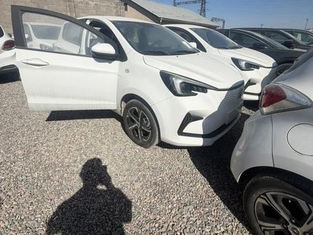 Changan Benben E-Star, 2020