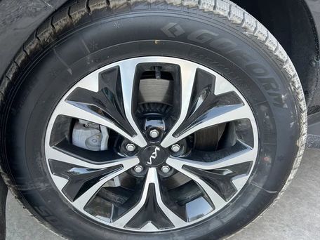 Kia Carnival, 2023 — photo 4