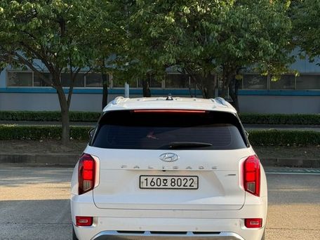 Hyundai Palisade, 2021 — 照片 2