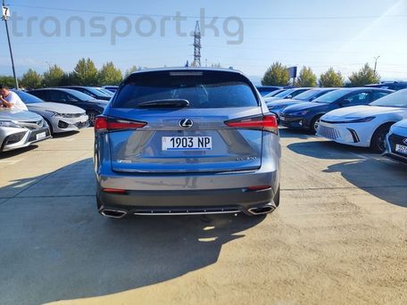 Lexus NX, 2020 — photo 9