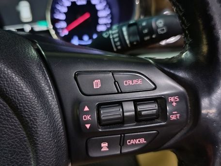 Kia Carnival, 2019 — 照片 9