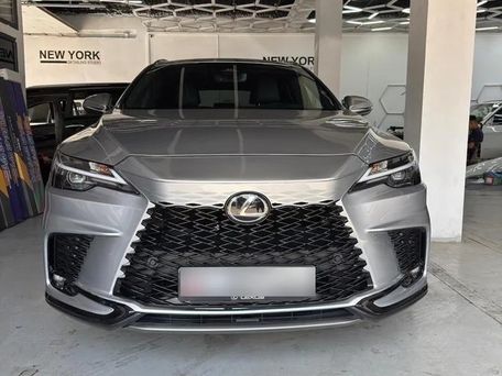 Lexus RX, 2023 — сүрөт 1