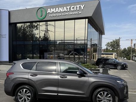 Hyundai Santa Fe, 2019 — фото 6