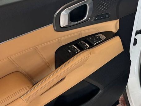 Kia Sorento, 2020 — photo 12