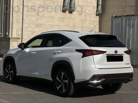 Lexus NX, 2018 — сүрөт 4