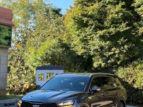 Kia Sorento, 2022 — photo 3