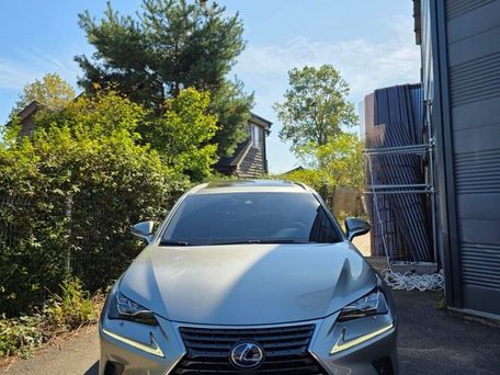 Lexus NX, 2020 — сүрөт 1