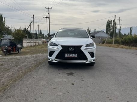 Lexus NX, 2020 — фото 1