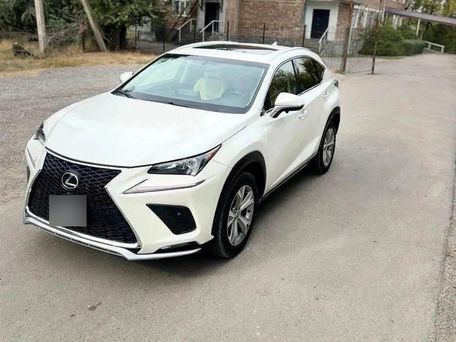 Lexus NX, 2021 — фото 2