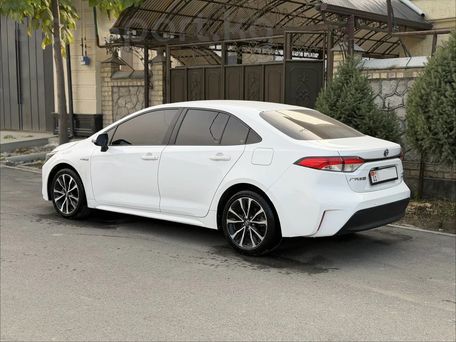 Toyota Levin, 2023 — 照片 4