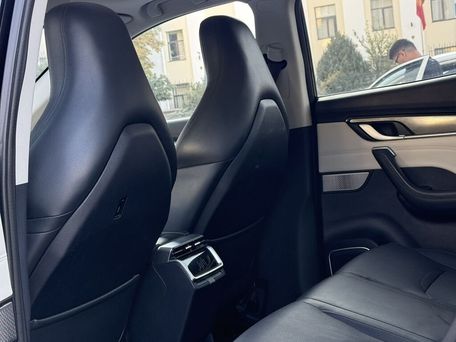 Weltmeister EX5, 2020 — photo 7