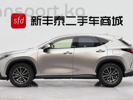 Lexus NX, 2022 — фото 3