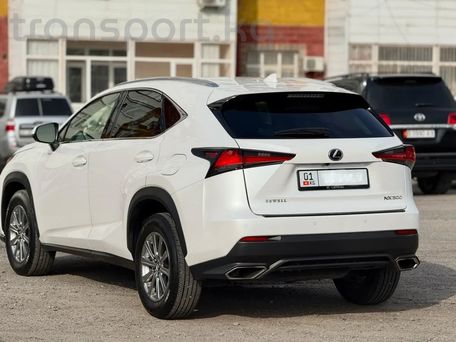 Lexus NX, 2020 — фото 5