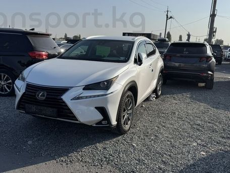 Lexus NX, 2018 — сүрөт 2