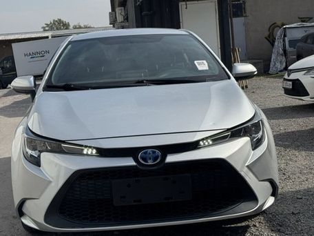 Toyota Levin, 2020 — сүрөт 2