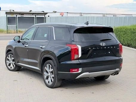 Hyundai Palisade, 2024 — фото 9