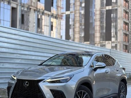 Lexus NX, 2023 — фото 4