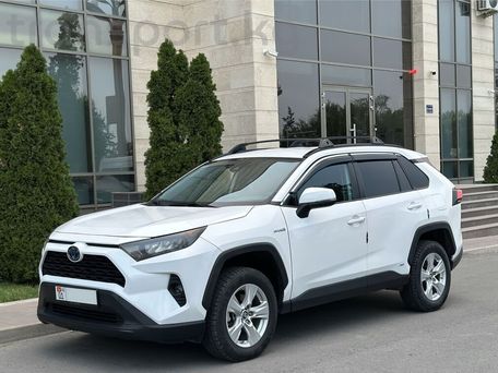 Toyota RAV4, 2019 — 照片 2
