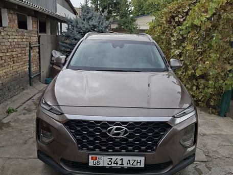 Hyundai Santa Fe, 2019 — фото 1